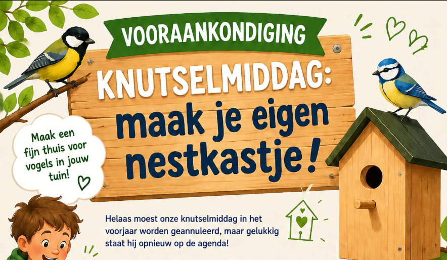Knutselmiddag, Maak je eigen nestkasje